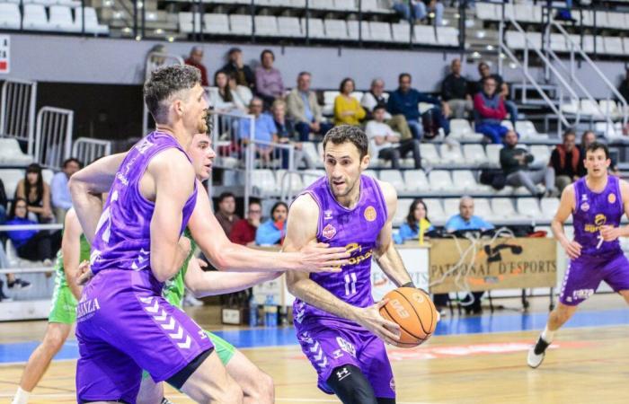 There is no small rival for a super agropal Palencia at home
