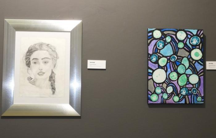 The Puertollano Museum hosts the female artistic talent of the Artfem Association
