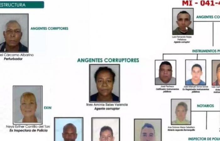 Prosecutor linked case by case to imputed for theft of land in solitude