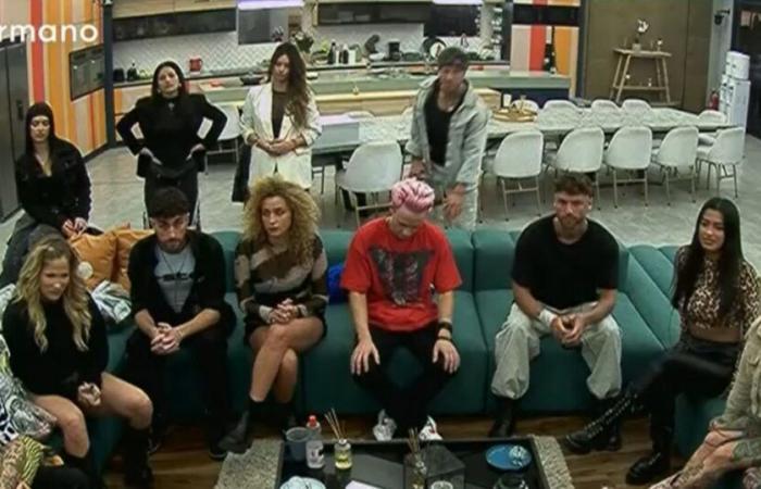This was the final plate of nominees in Big Brother after the jungle decision – the 100
