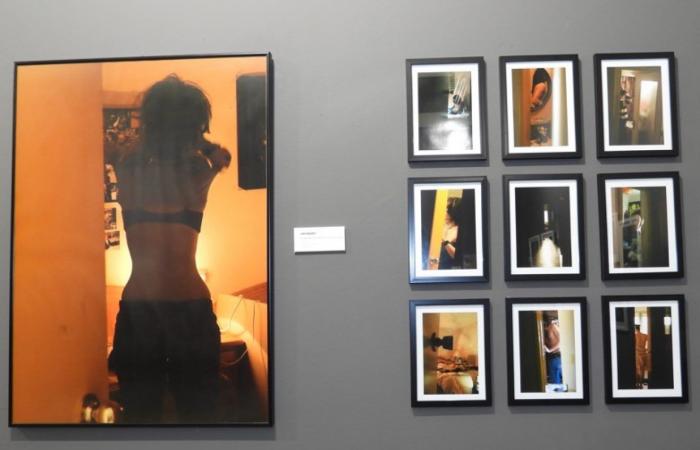 The Puertollano Museum hosts the female artistic talent of the Artfem Association
