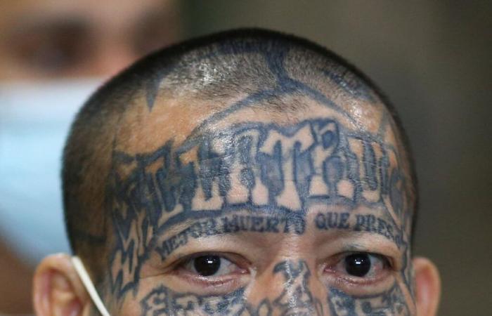 The requests to erase the “suspicious” tattoos of the Trump list | Immigration in the United States