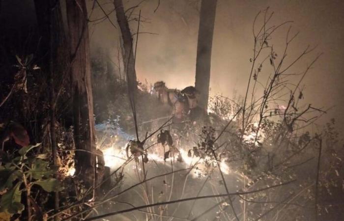 They threaten forest fires protected areas in Nayarit