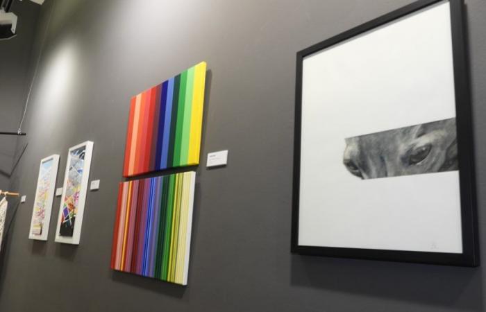 The Puertollano Museum hosts the female artistic talent of the Artfem Association
