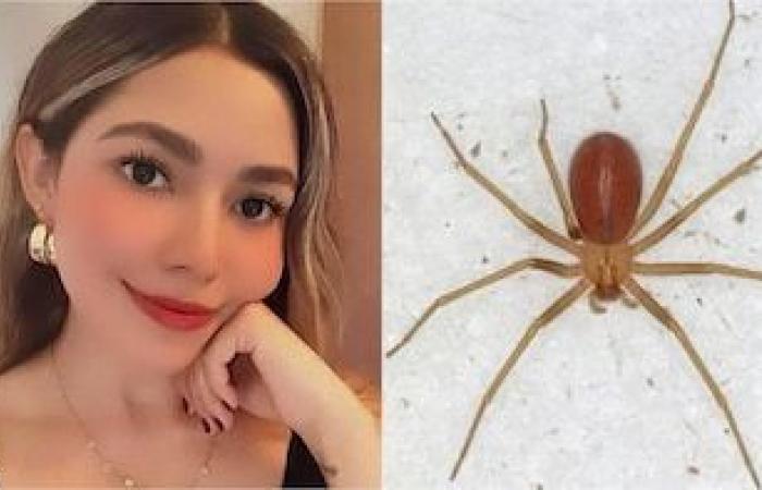 Young dies after suffering 4 cardiorespiratory strikes for alleged violinist spider picket in Sonora