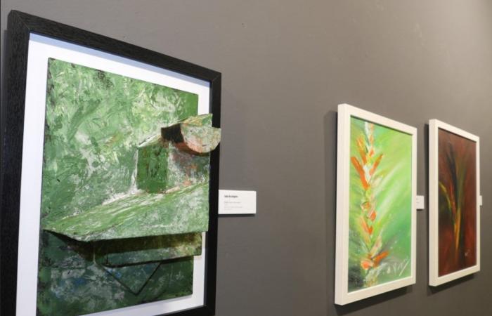 The Puertollano Museum hosts the female artistic talent of the Artfem Association