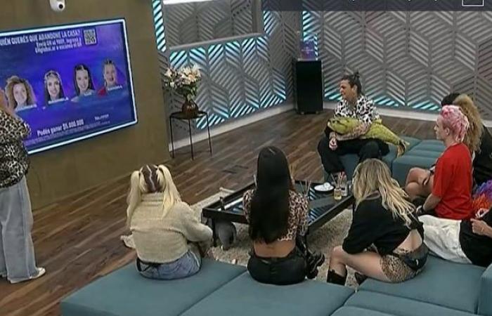 This was the final plate of nominees in Big Brother after the jungle decision – the 100
