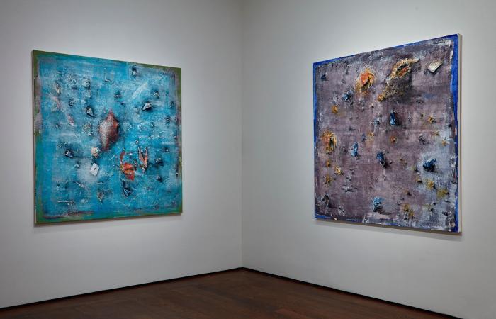 Miquel Barceló exhibits in the Acquavella gallery in New York
