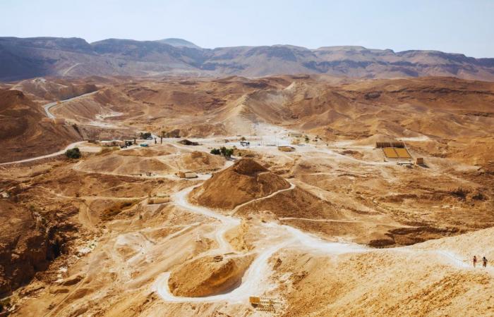 In Latin America they surprise the world with the finding of a gold reserve of more than 11 million ounces