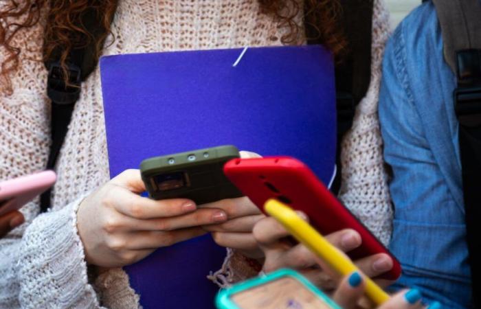 The table that compares alcoholism with screens addiction (and divides experts) | The express country