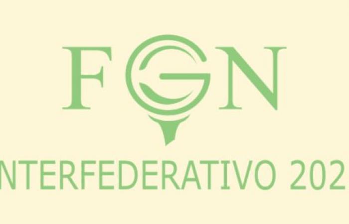 The Interfederative Tournament of Seniors began to be played
