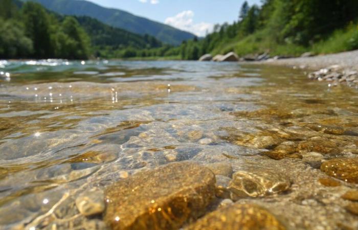 There is a river full of gold in Asturias, and they say it is “the discovery of the century”
