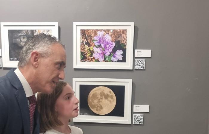 The Puertollano Museum hosts the female artistic talent of the Artfem Association