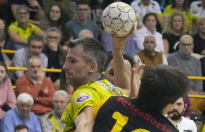 Handball | Zamora Caja Rural handball