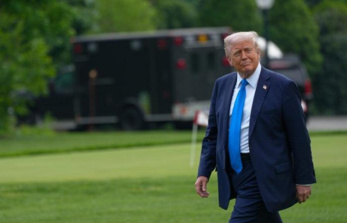 Donald Trump publishes an image of himself as if he were the next Pope