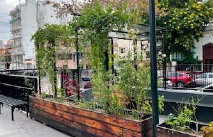 What are the 5 cutest neighborhoods in Argentina, according to AI