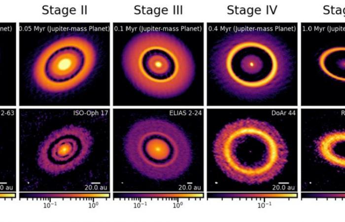 Those responsible for rings and grooves on protoplanetary disks »UNLP