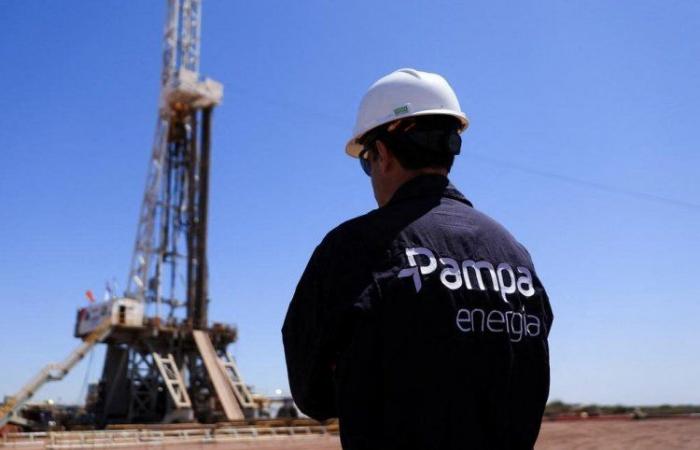 Argentina Pampa Energía begins gas export to Chile through Pacific Gas pipeline