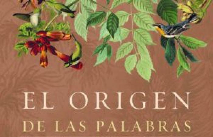 King Naranjo: 15 years of a literary universe that bets on innovation and enters the eyes
