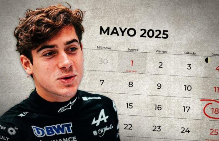 The agenda of the five races that Franco Colapinto will have in Formula 1 after confirming that he will be a starting pilot of Alpine