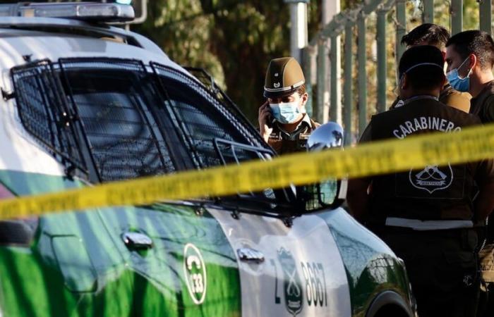 Corpse had no head and presented bites: the terrifying finding that impacted La Araucanía
