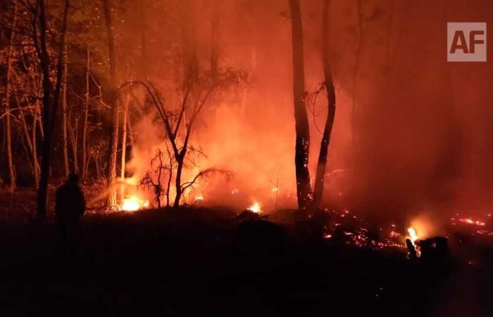 Brigades fight forest fire in pet, Jalisco; Prioritize protection of inhabited areas – Aphmedia.
