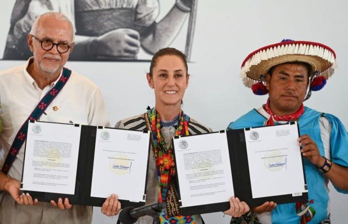 La Jornada – Sigo Sheinbaum Decree to restore land to Pueblo Wixárika