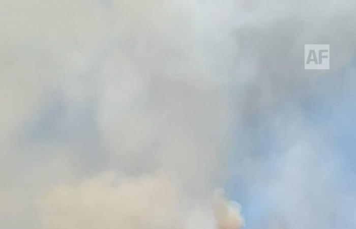 Brigades fight forest fire in pet, Jalisco; Prioritize protection of inhabited areas – Aphmedia.
