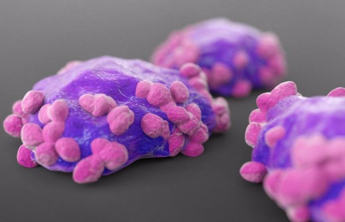 The CE approves ‘Calquence’ (Astrazeneca) more chemoimmunotherapy for mantle cell lymphoma
