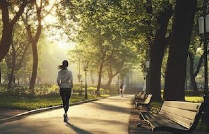 The “Centennial Decathlon”: How to train from today the skills you will need in old age