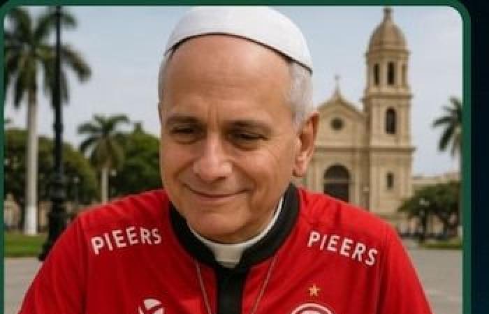 “Peru is key”: the best memes after knowing that Robert Prevost, Pope Leo XIV, has Peruvian DNI