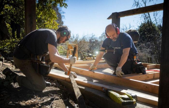 They are entrepreneurs and make houses inspired by the Wabi Sabi, the Japanese aesthetics that cults beauty