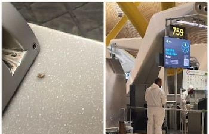 AENA TIRA BALLES OUT WITH THE SYNTHECH OF BARAJAS AIRPORT AND Ensures that they are not at his competition