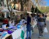 The books about the Pope and those of Mario Vargas Llosa, win this Sant Jordi in Ibiza | Society