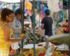 Check here where free fairs are placed in Chile