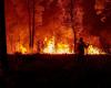 Active forest fires burn 22 states of the country- Millennium Group