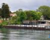 Museum of Contemporary Art: Government confirms process to expropriate UACH lands in Valdivia | National