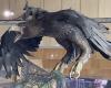Wellington withdrew from his airports the sculptures of giant eagles that honored “the lord of the rings”