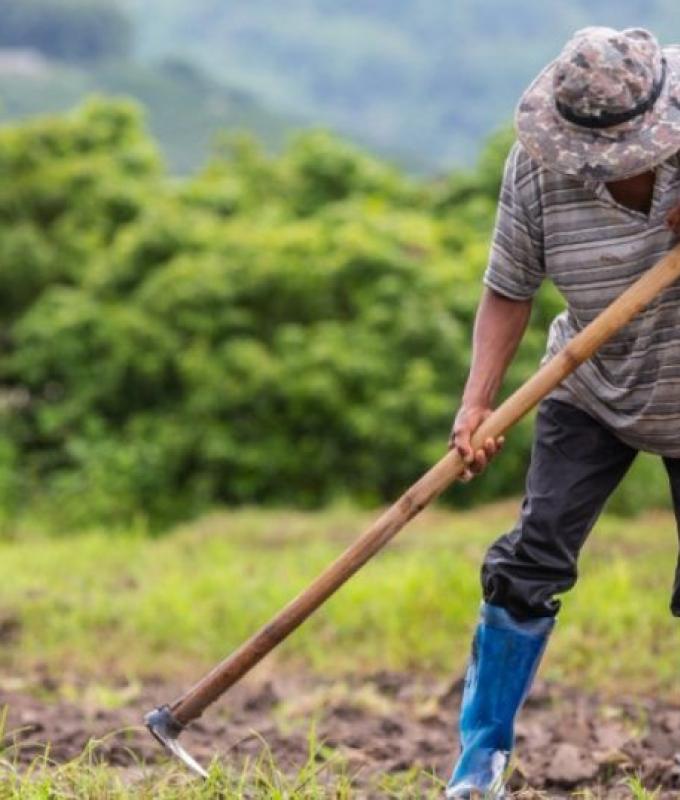 They took away a farmer’s land and farm in the El Arenillo village of Manizales