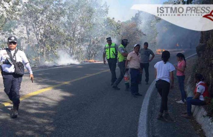 Fire consumes dining rooms, homes and forest in the Oaxacan mountains – Noticias del Istmo, Oaxaca