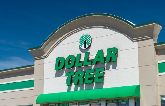 4 Dollar Tree Items That Will Soon Go Up in Price