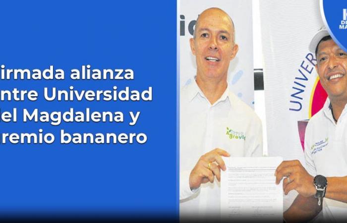 Alliance signed between Universidad del Magdalena and banana union