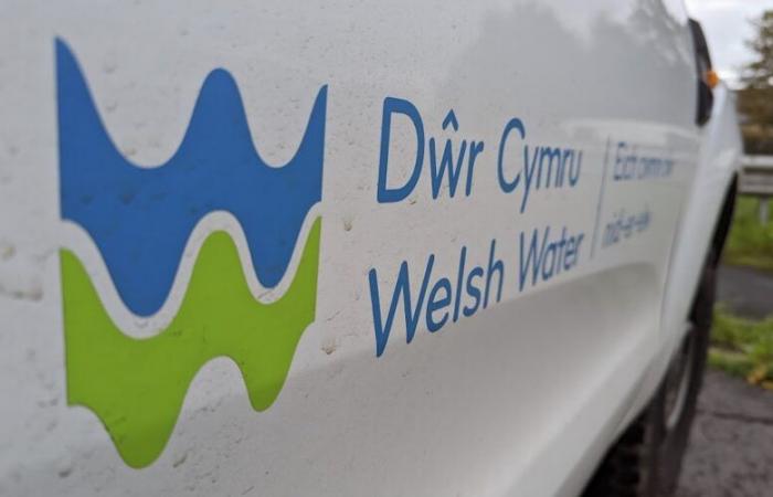 Urgent calls for Welsh Water improvement amid environmental concerns