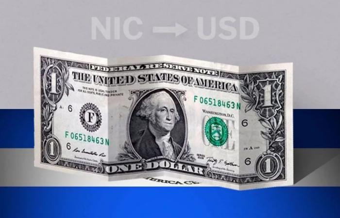 Nicaragua: closing price of the dollar today June 13 from USD to NIO