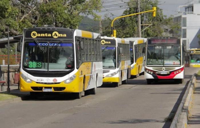 Bus fare increases in Jujuy: how much will it cost