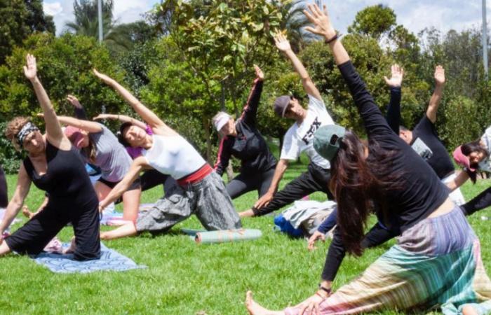 Bogotá welcomes you to the second edition of the Calma Festival, an event to connect with well-being in the city