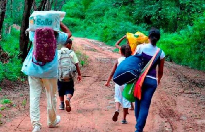 Forced displacement in Neiva: a growing problem