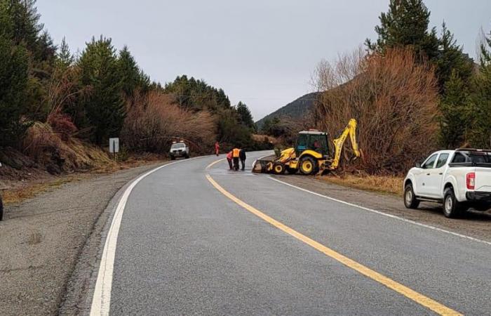 Before winter, they condition Route 40 between Bariloche and El Bolsón