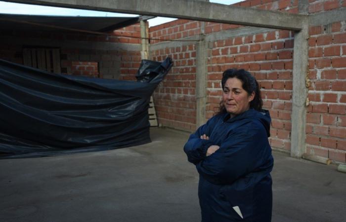 Belén, from a domestic worker to a bricklayer in Roca: a work and a dream paralyzed