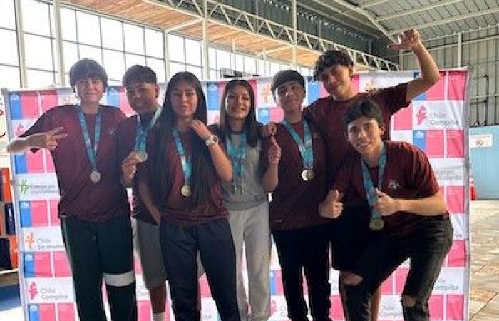 Students from Calama achieve great triumphs in swimming in Antofagasta – Diario El America